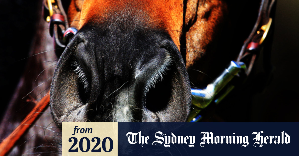 Racebyrace guide and tips for Canterbury on Wednesday